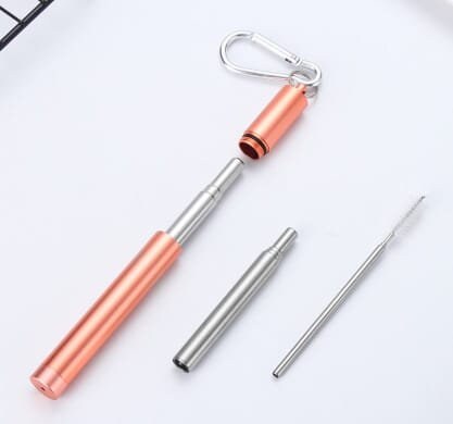 Personalised Collapsible Metal Straw, Travel Case and Cleaning Brush